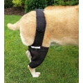 FirstCanine Orthopaedic Dog Hind Knee Brace